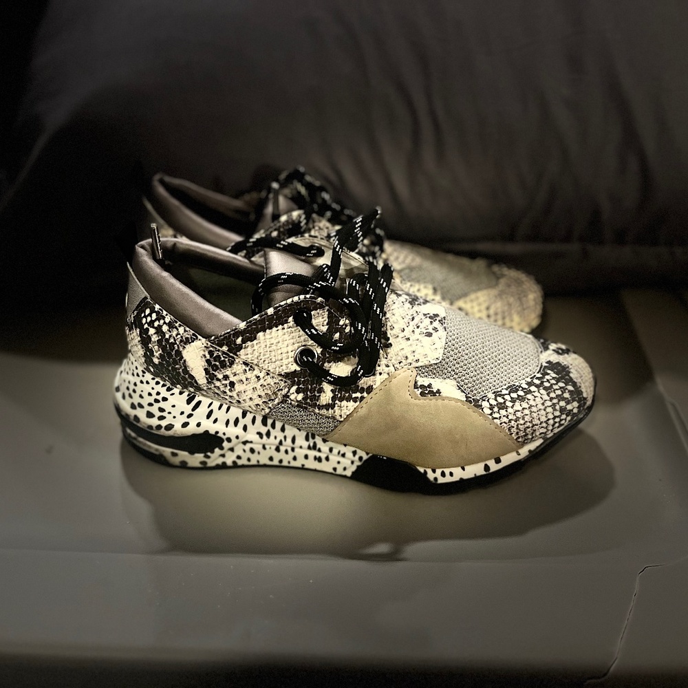 Steve Madden Cliff Sneaker Size 9.5W (Never Worn)